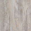 SYNCRON-CAROLINA-PINE